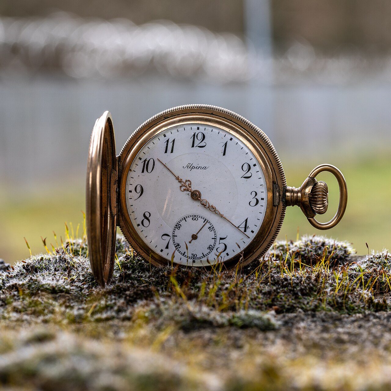Pocket watch, 1980s
