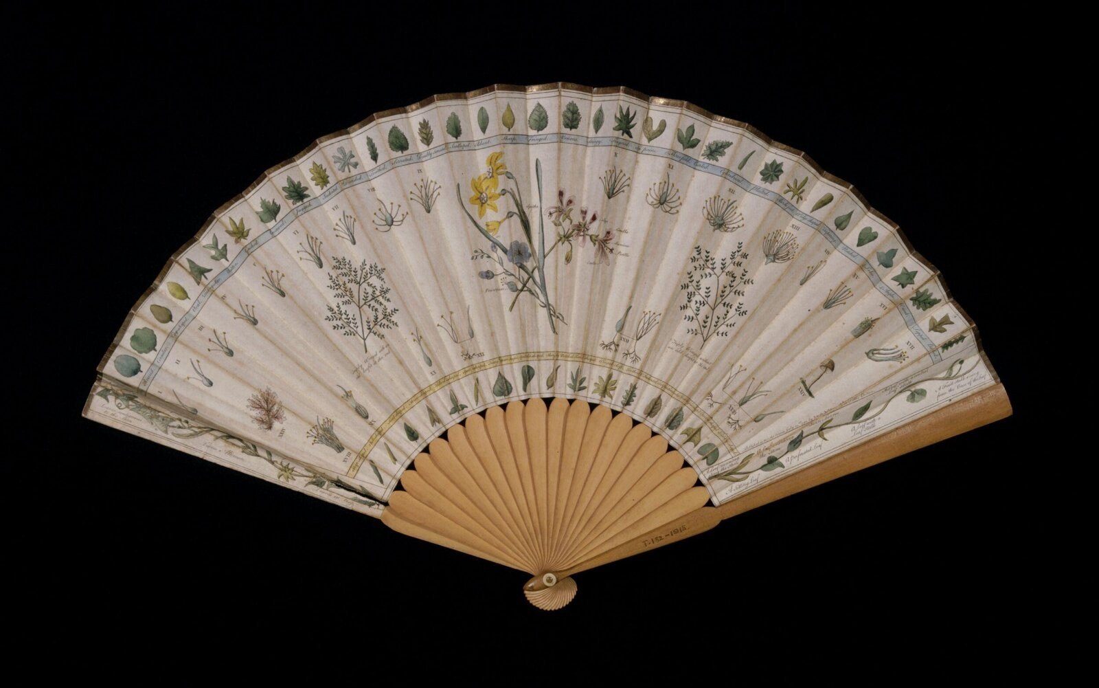 Fan, paper, London, 1792 — museum object T.182-1915