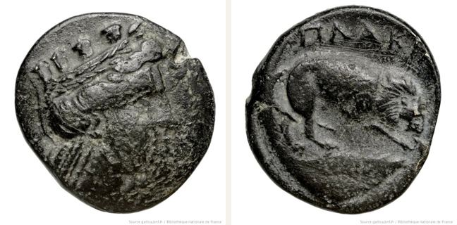 Plakia, bronze coin — Lion standing right (CN type 12783)