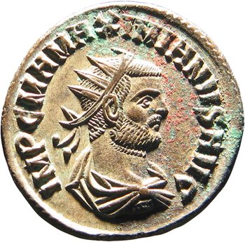 RIC V Diocletian 607