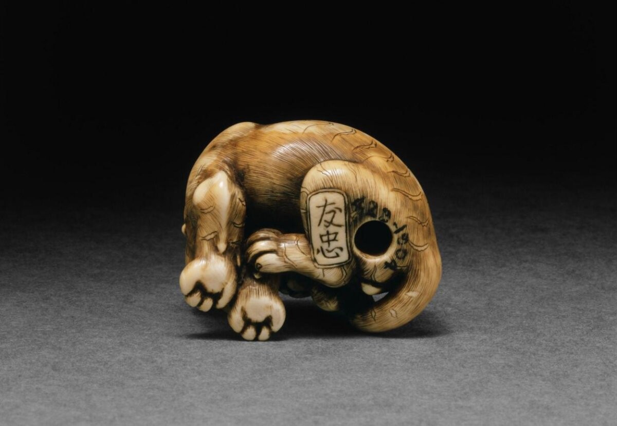 Netsuke, carved ivory in the form of a tiger scratching its face, signed Tomotada, Japan, 1750-1800