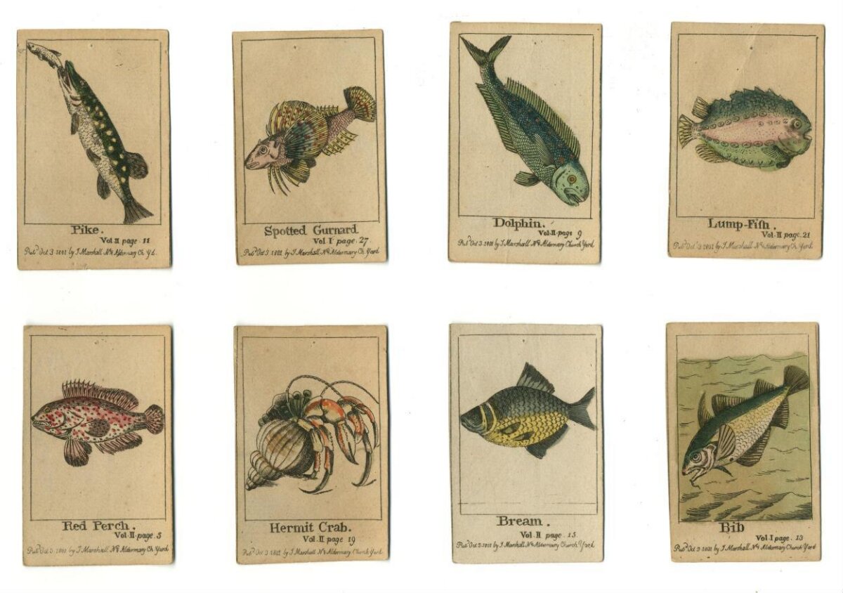 Card game — The Infant's Cabinet of Fishes, London, 1801