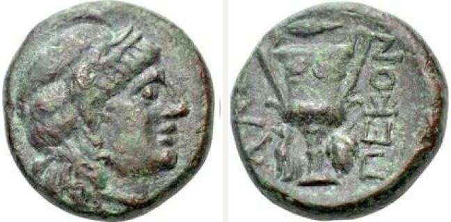 Alopekonnesos, small denomination (bronze) — Cantharus (CN type 393)