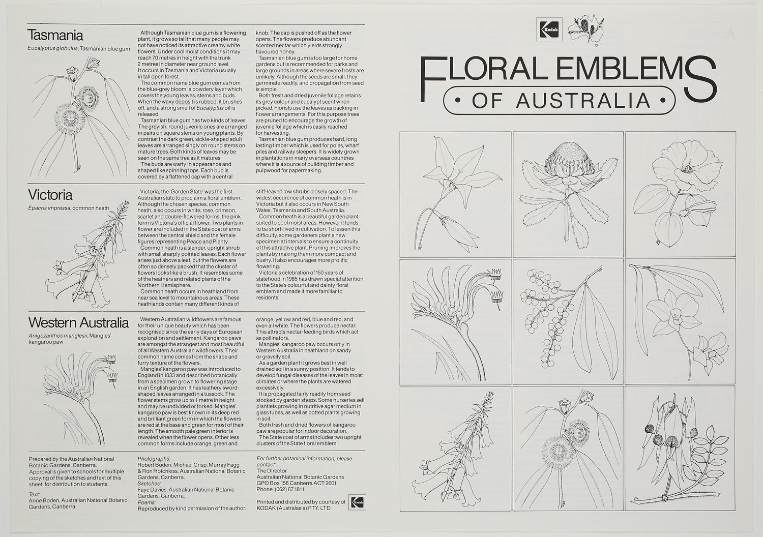 Posters - Kodak Australasia Pty Ltd, 'Floral Emblems of Australia', circa 1990s
