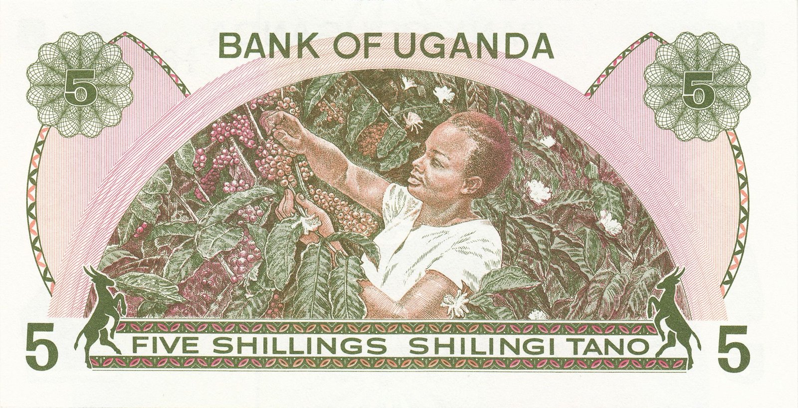 Reverse of 5 Shillings (1982), Pick 15