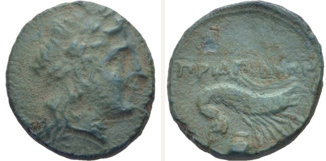 Priapos, bronze coin — Shrimp (CN type 12937)