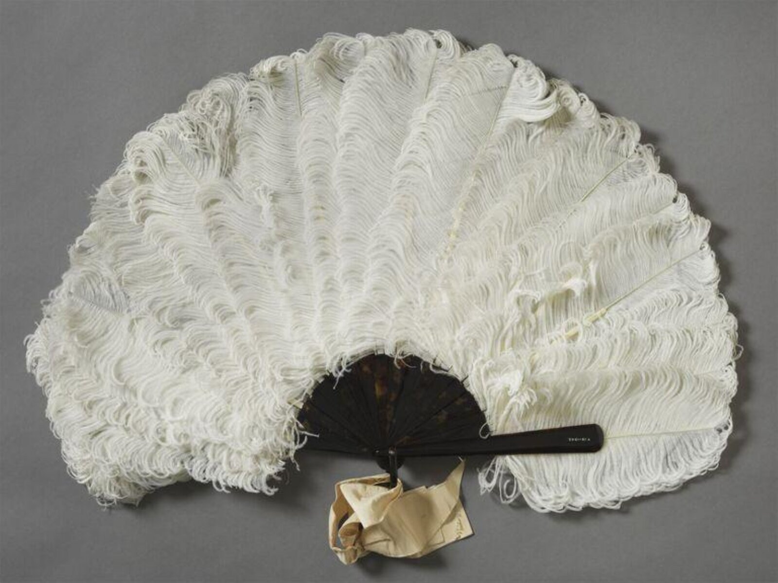 Fan, ostrich feather and hawksbill turtle shell, England, 1800-1900 — museum object T.19-1943