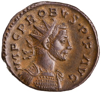 RIC V Probus 116