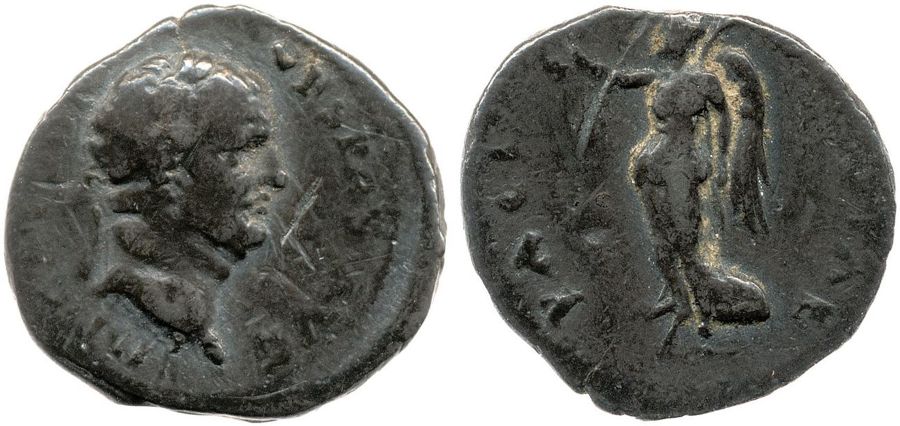 Documented specimen of this type held by The British Museum.