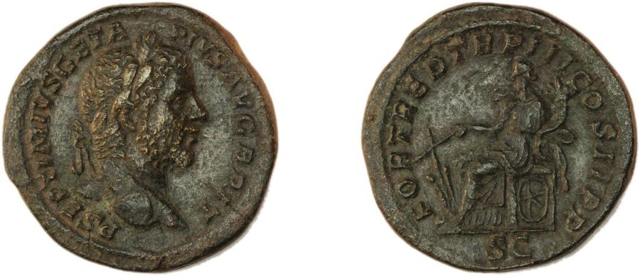 Documented specimen of this type held by The British Museum.