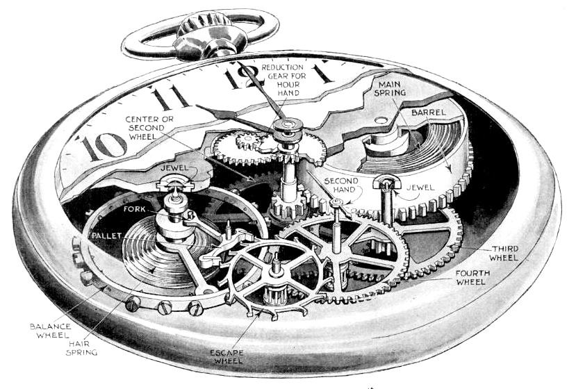 Cutaway drawing of a pocketwatch movement.