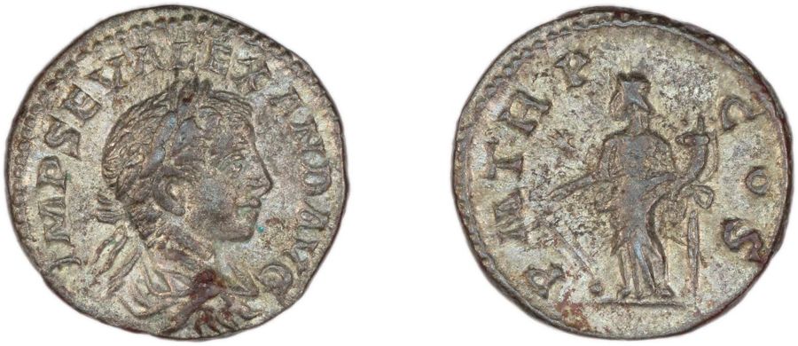 Documented specimen of this type held by The British Museum.