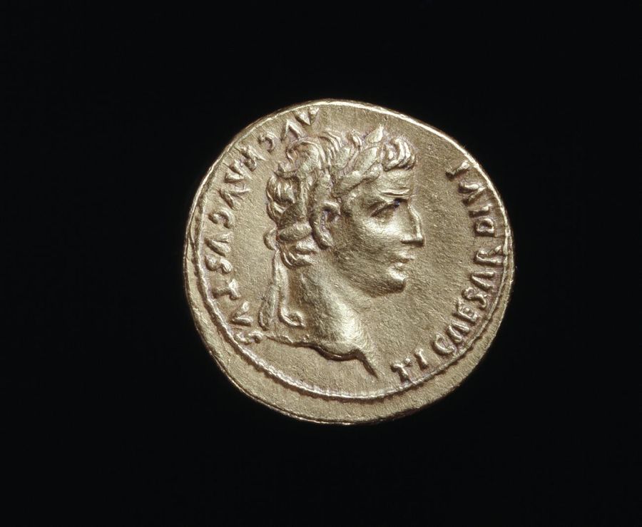 Documented specimen of this type held by The British Museum.