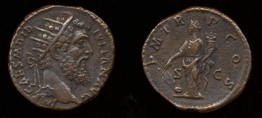 Documented specimen of this type held by The British Museum.