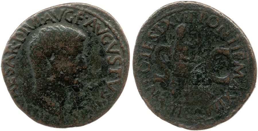 Documented specimen of this type held by The British Museum.