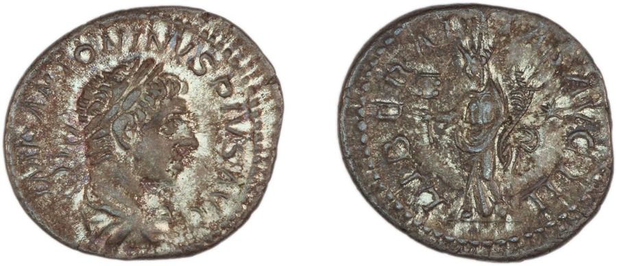 Documented specimen of this type held by The British Museum.