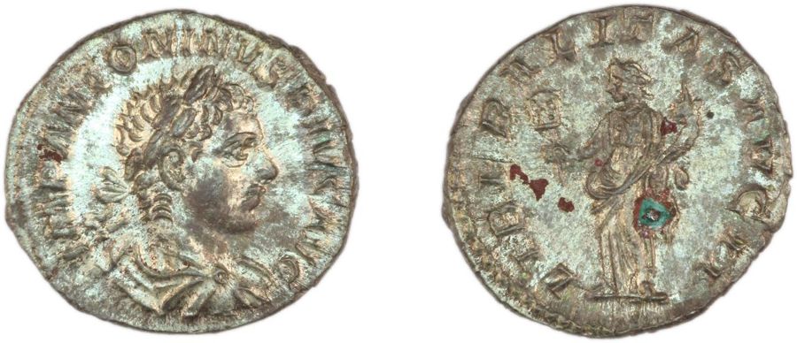 Documented specimen of this type held by The British Museum.