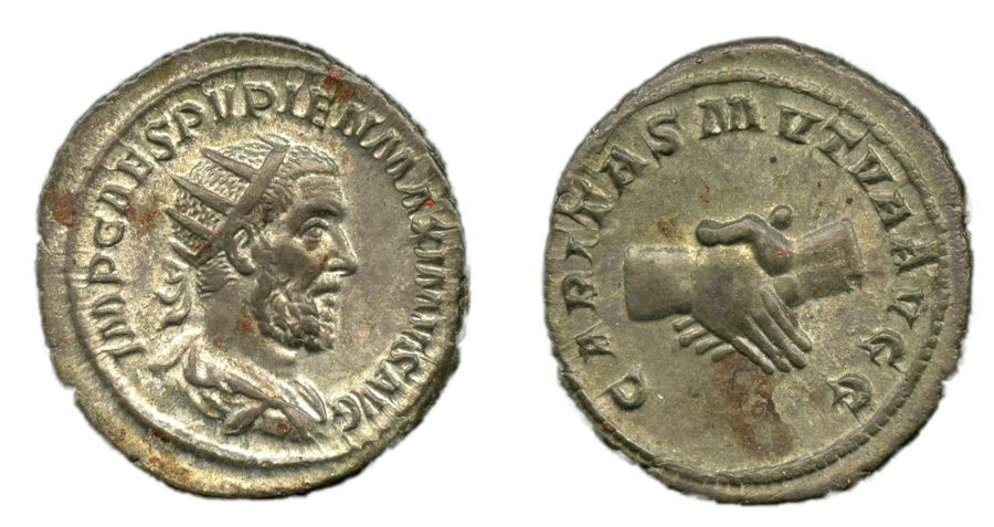 Documented specimen of this type held by The British Museum.