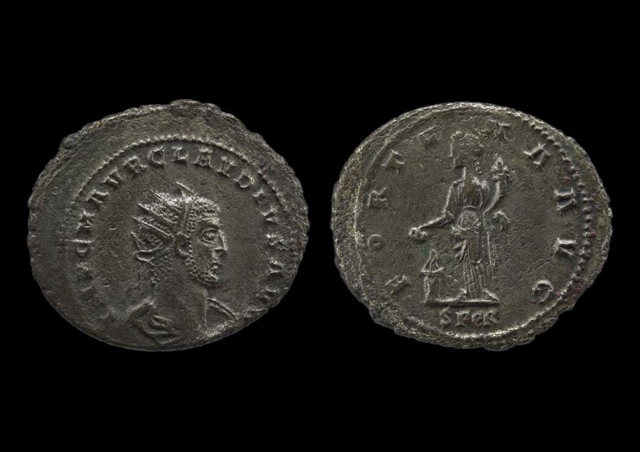 Documented specimen of this type held by The British Museum.