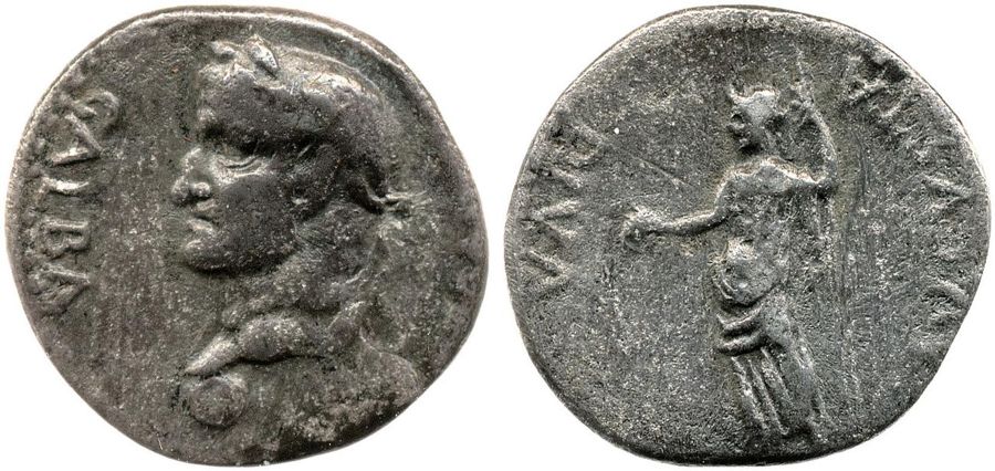 Documented specimen of this type held by The British Museum.