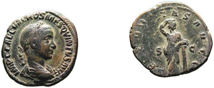 Documented specimen of this type held by The British Museum.