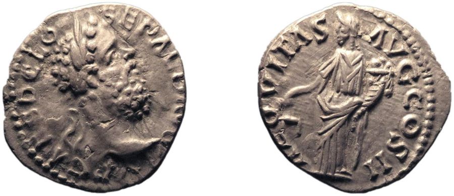 Documented specimen of this type held by The British Museum.