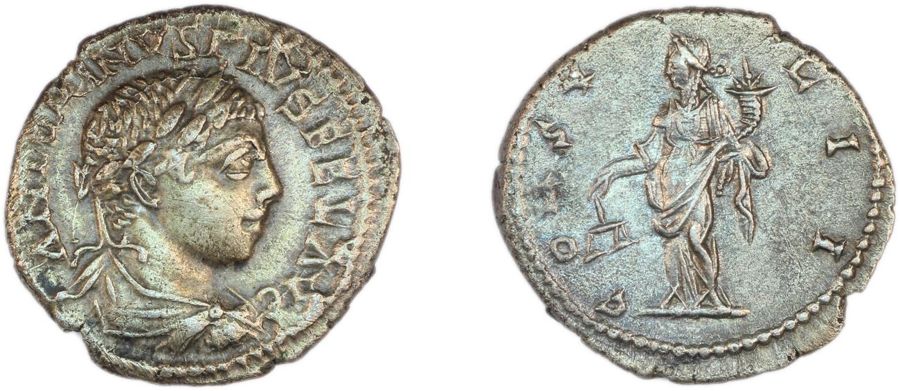 Documented specimen of this type held by The British Museum.