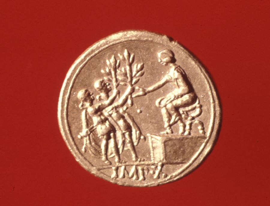 Documented specimen of this type held by The British Museum.