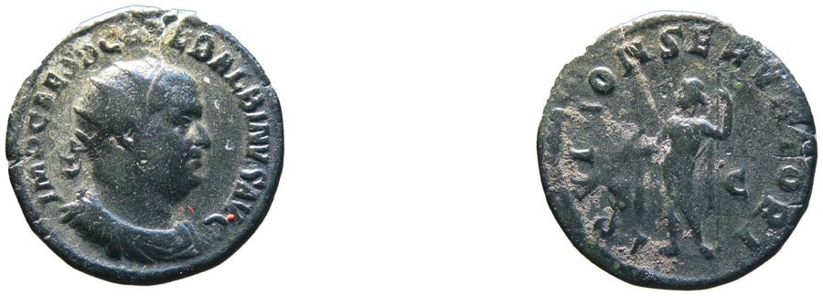 Documented specimen of this type held by The British Museum.