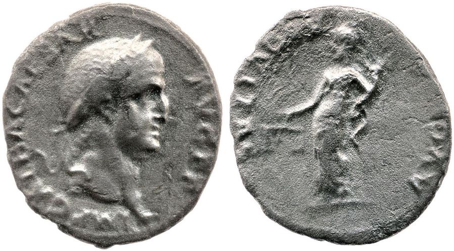 Documented specimen of this type held by The British Museum.
