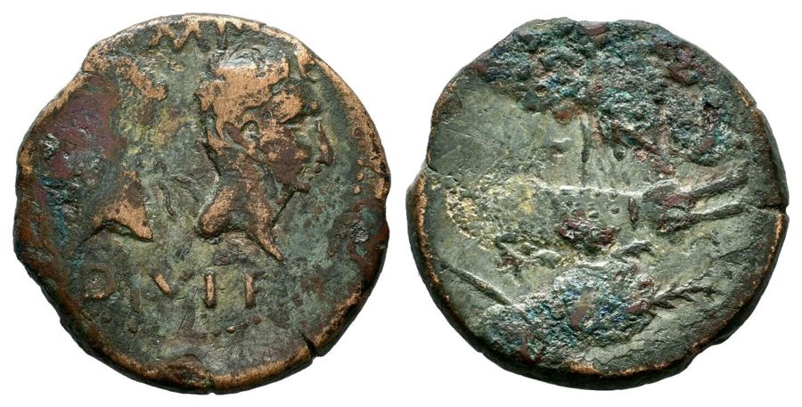 Documented specimen of this type held by Gallo-Roman Museum, Tongeren.