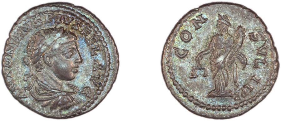 Documented specimen of this type held by The British Museum.