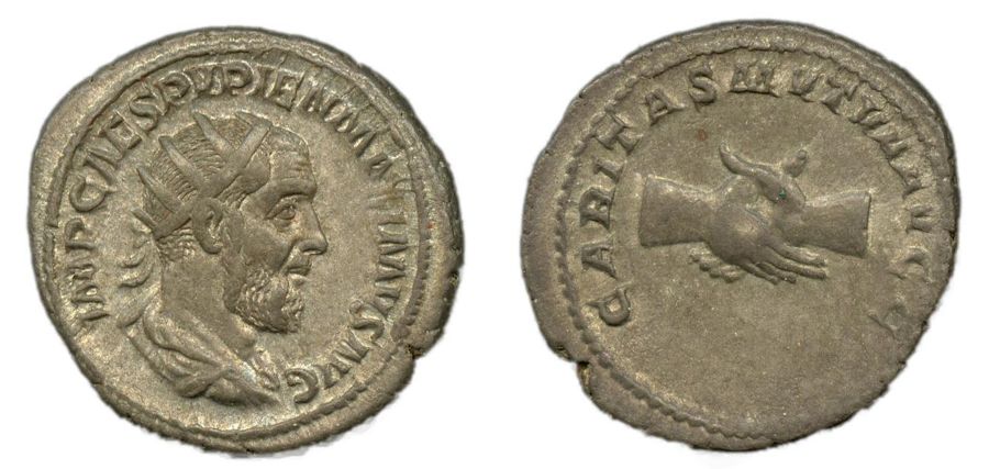Documented specimen of this type held by The British Museum.