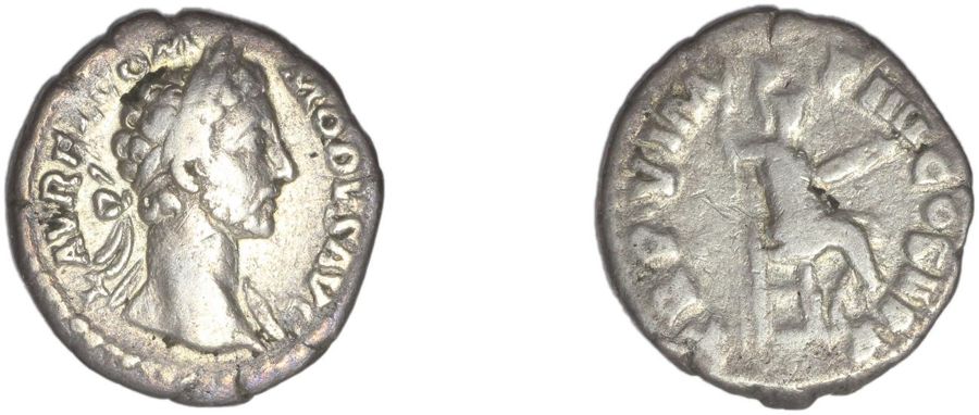Documented specimen of this type held by The British Museum.