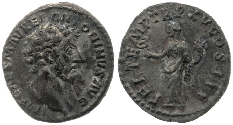 Documented specimen of this type held by The British Museum.