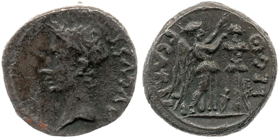 Documented specimen of this type held by The British Museum.