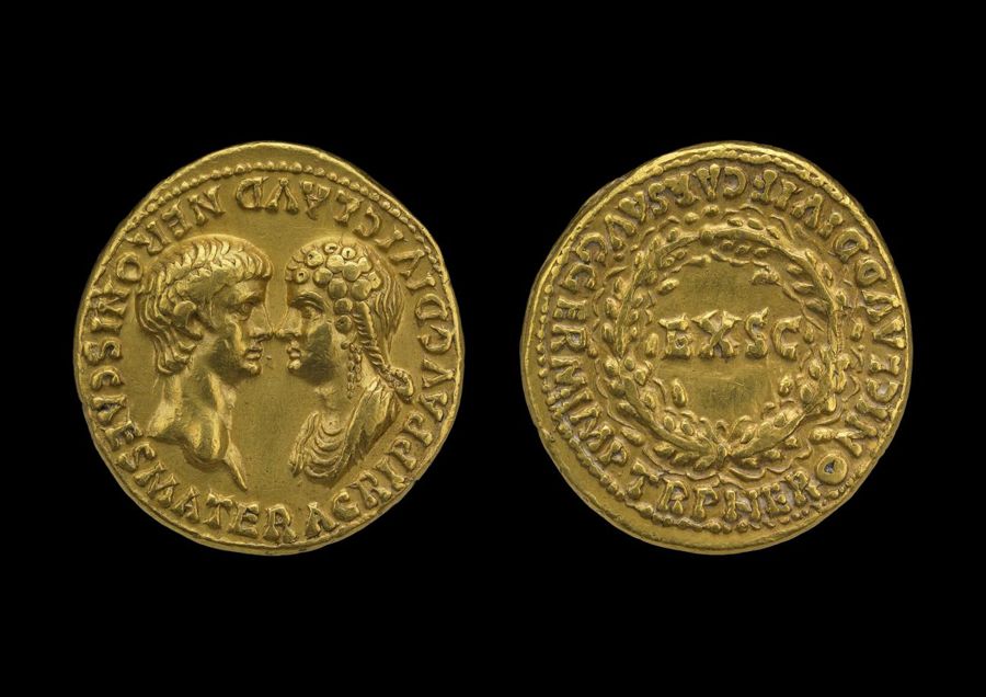 Documented specimen of this type held by The British Museum.