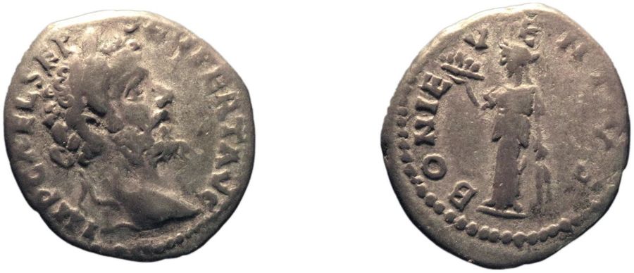 Documented specimen of this type held by The British Museum.