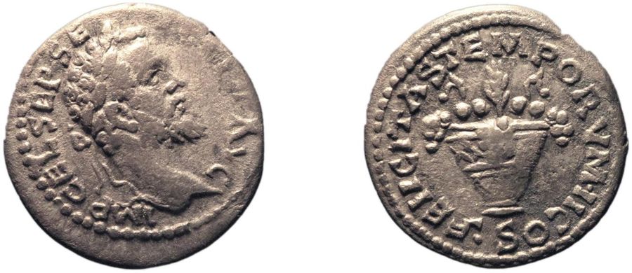 Documented specimen of this type held by The British Museum.