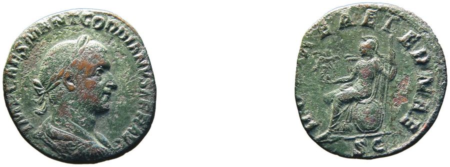 Documented specimen of this type held by The British Museum.