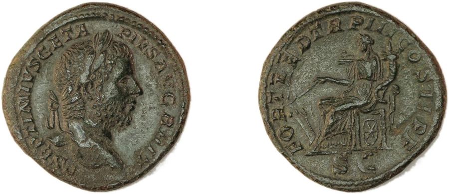 Documented specimen of this type held by The British Museum.