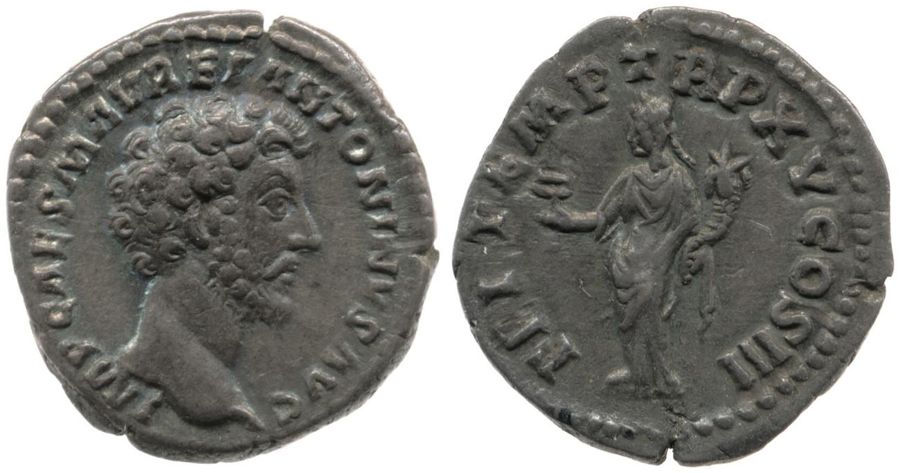 Documented specimen of this type held by The British Museum.