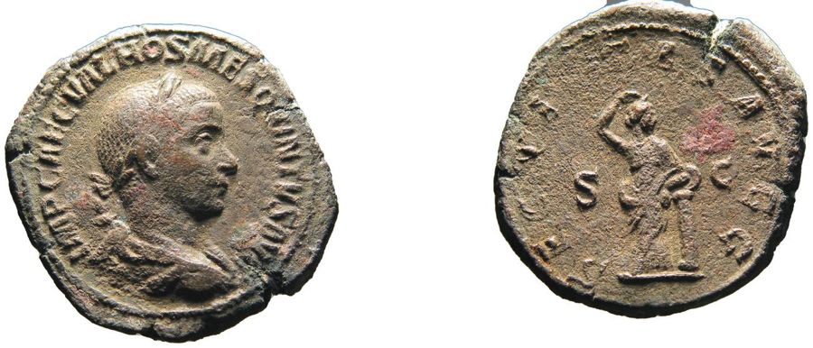 Documented specimen of this type held by The British Museum.