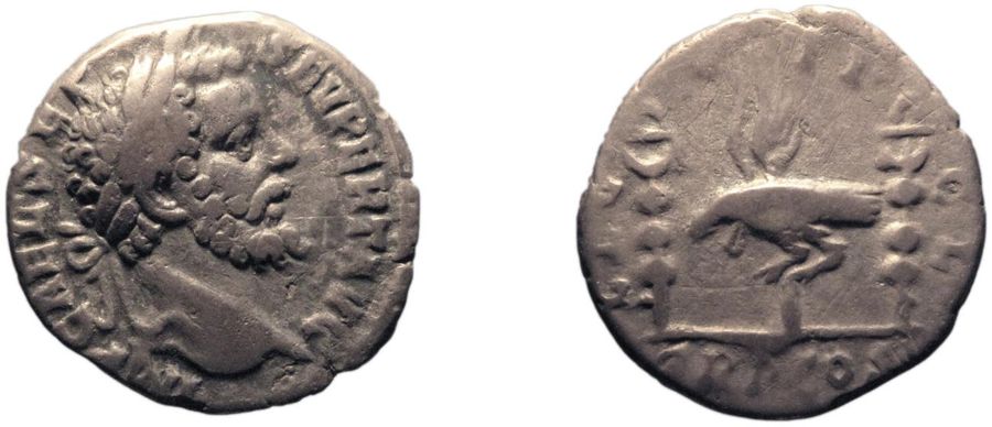 Documented specimen of this type held by The British Museum.