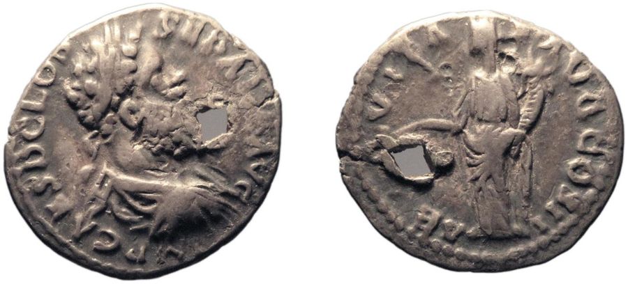 Documented specimen of this type held by The British Museum.