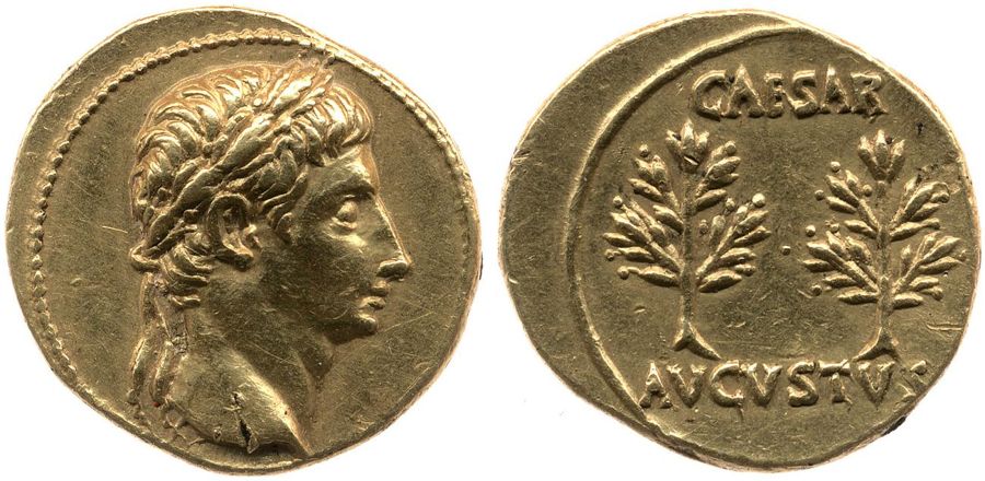 Documented specimen of this type held by The British Museum.