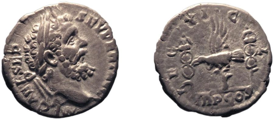 Documented specimen of this type held by The British Museum.