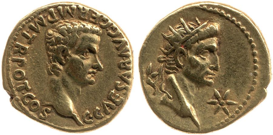 Documented specimen of this type held by The British Museum.
