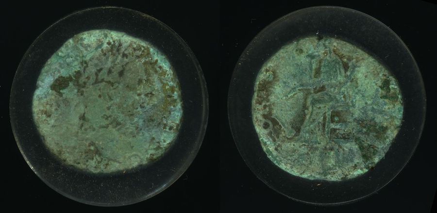 Documented specimen of this type held by The British Museum.