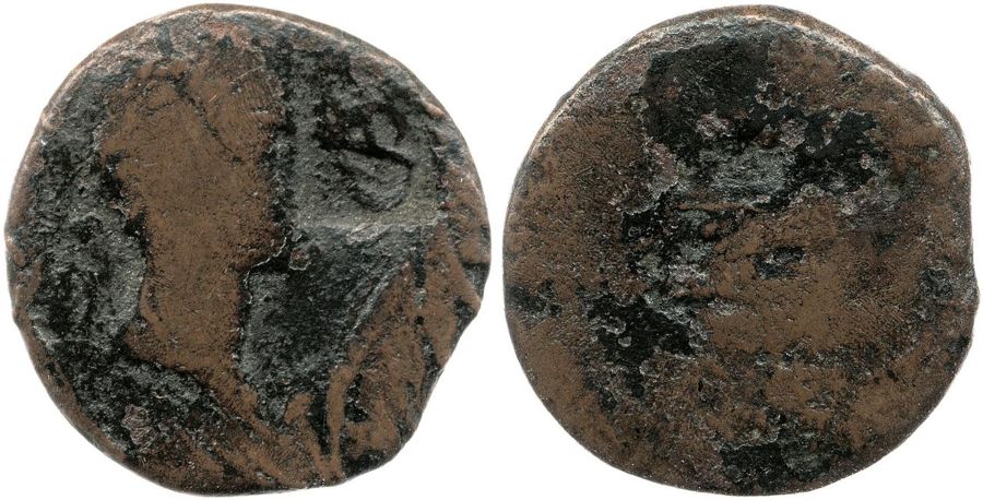 Documented specimen of this type held by The British Museum.